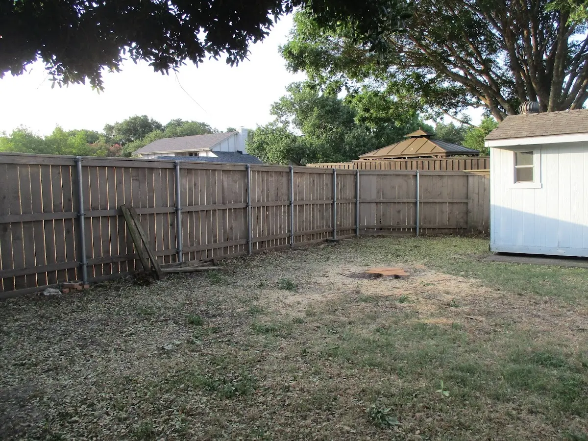 Cleared yard after professional tree removal in East Hartland